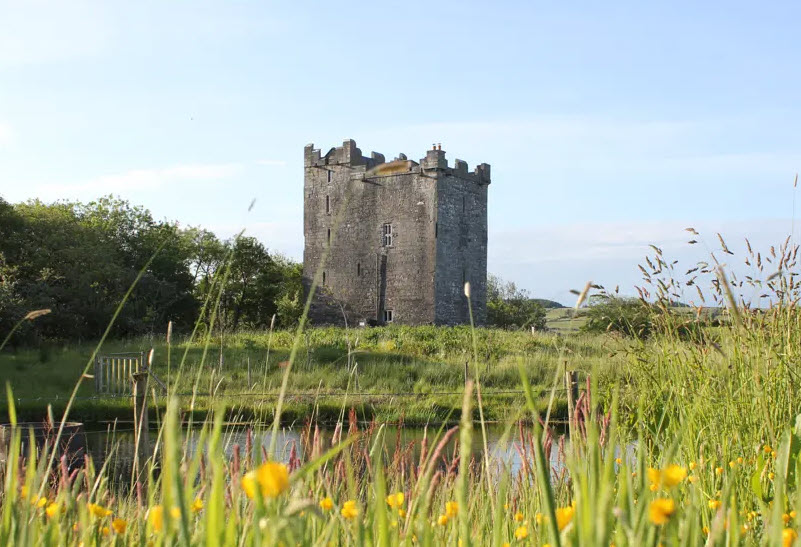 Ballynamona Castle, Ireland